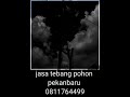 jasa tebang pohon pekanbaru 0811764499