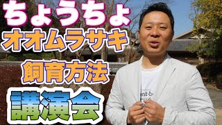 【無料公開】日本一のオオムラサキ飼育方法や身近なちょうちょの講演会！お話させて頂きました。蝶太郎物語りNo.89