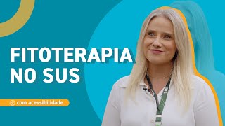 O que é fitoterapia e como acessá-la pelo SUS?