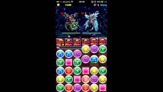 パズドラ　星宝の魔窟　高速周回