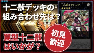 【マスターデュエル】十二獣デッキでDCに勝つ方法を探る！【初見歓迎】