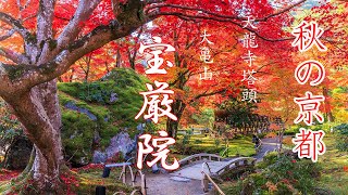 [秋の京都]  宝厳院　獅子吼の庭　kyoto 4K