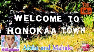 Welcome to Honoka'a Town