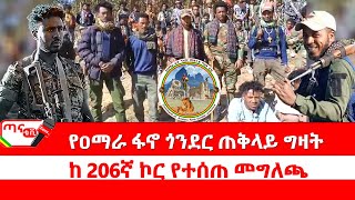 ጣና ልዩ መረጃ፦ የዐማራ ፋኖ ጎንደር ጠቅላይ ግዛት ከ 206ኛ ኮር የተሰጠ መግለጫ