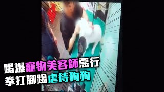 東張西望 | 拳打腳踢虐待狗狗 踢爆寵物美容師惡行