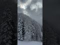 pozza di fassa in seggiovia sul buffaure con la neve verso canazei in val di fassa 😍❄️☀️🖼️