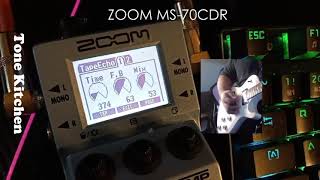 Zoom MS70CDR Tape Echo Demo mp4