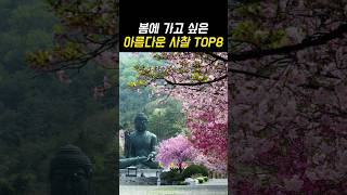 올 봄 놓치면 후회할 한국의 아름다운 사찰 TOP8