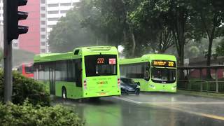 [SBST] {DEBUT} All new Volvo B5LH on Service 272