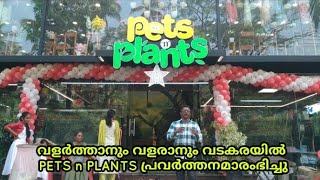 വളർത്താനും വളരാനും വടകരയിൽ PETS n PLANTS പ്രവർത്തനമാരംഭിച്ചു