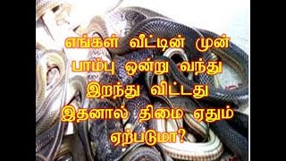 எங்கள் வீட்டின் முன் பாம்பு ஒன்று வந்து இறந்து விட்டது இதனால் தீமை ஏதும் ஏற்படுமா/aanmeega tips