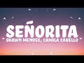 Download Shawn Mendes Camila Cabello Señorita Mike Remix 1 Hour mp3