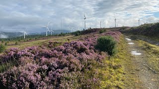 Cruach Mhor Windfarm. Turbine Tour.  Cowal, Scotland.