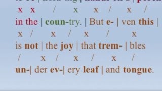 Meter and Meaning in "Song" by Jane Kenyon