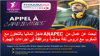 عاجل المانيا بالتعاون مع ANAPEC تبحث عن عمال من المغرب مع دروس لغة مجانية ومرافقة في اجراءات الهجرة