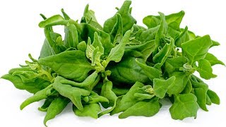 New zealand spinach | Tetragonia tetragonioides | TASTE TEST AND REVIEW