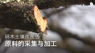 树枝收集与加工 | 碎木土壤改良法