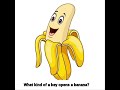 What kind of a key opens a banana?/ Funny puns/Funny questions