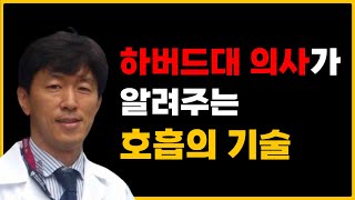 숨만 잘 쉬어도 몸은 아프지 않다 /하버드식 호흡의 기술. 네고로 히데유키 / 건강정보 /호흡법