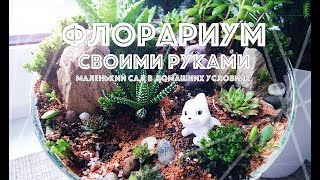 DIY: ФЛОРАРИУМ СВОИМИ РУКАМИ (мини сад)