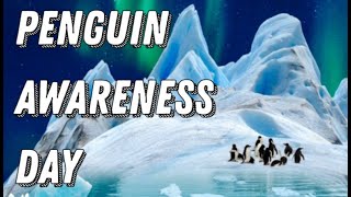 Penguin Awareness Day (20th January) - Activities and Why We Love Penguins