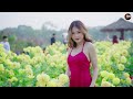 vó ngựa trên Đồi cỏ non remix lk mai tiến Đạt phối mới cực chuẩn toàn bài hay nhạc mới bolero 2022