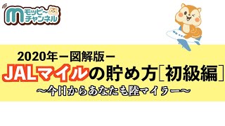 【ポイ活】JALマイル徹底解説初級編!!モッピー陸マイラー直伝!!