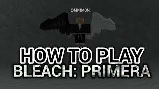 Fastest Way To Lvl Up And All Race Showcase Bleach Soul Of - 