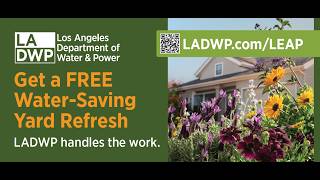 LADWP LEAP PROGRAM