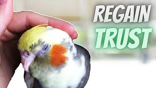 How to Regain your Bird's Trust?