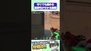 【VALORANT】守りでも詰める重要性が分かる動画【Xandrite】#shorts