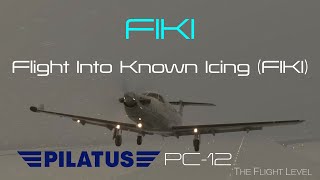 Flight Into Known Icing (FIKI) Conditions Demonstration - PC-12 Ice Control Systems Reviewed - 4K