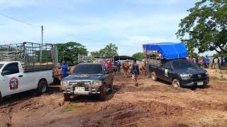 ตลาดนัดแยกส้มป่อยน้อย อำเภออุทุมพรพิสัย จังหวัดศรีสะเกษ