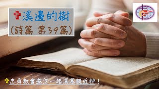 溪邊的樹～詩篇39篇