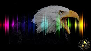 Cinematic Eagle Cry Sound Effect