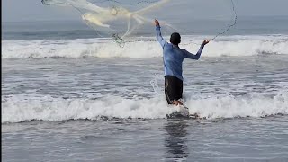 pesca de licetas y también pescamos de esta otros peces