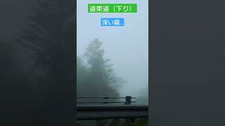 狩勝トンネルを抜けると…霧に包まれる（道東道；下り）