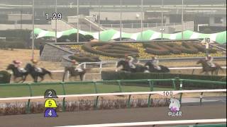 2012年3月17日 中山4R 障害未勝利 トウシンボルト