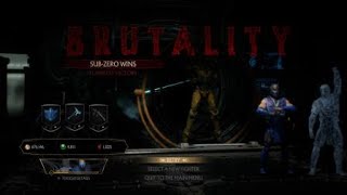 Mortal Kombat 11 - Sub-Zero - NEW Brutality - Falling to Pieces