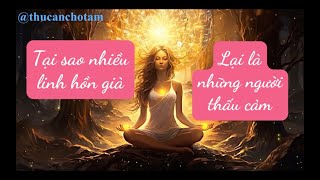 TẦN SỐ CẢM XÚC: TẠI SAO NHIỀU LINH HỒN GIÀ, LẠI LÀ NHỮNG NGƯỜI THẤU CẢM