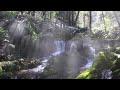 【瓜割の滝】 【4k】 〇までに〇たことが無い！【uriwari waterfall】 march 3 2024