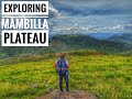 Exploring Mambilla Plateau 🇳🇬