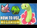 Best Meganium Moveset Guide - How To Use Meganium Competitive VGC Pokemon Scarlet and Violet