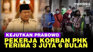 Kejutan Prabowo! Korban PHK Terima 'Gaji' Rp 3 Juta Selama 6 Bulan dari Negara, ini Syaratnya