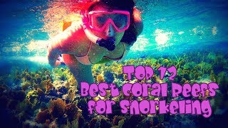 TOP 12 Best Coral Reefs for Snorkeling