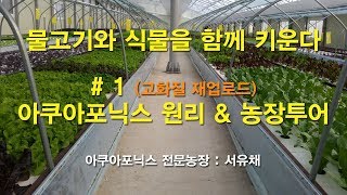 [서유채 - 1편] 아쿠아포닉스 원리 & 청년창업농