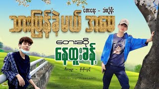 သားပြန်ခဲ့မယ်အမေ _နေထူးခန့်-NayHtooKhant