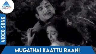 Kaattu Rani Tamil Movie Songs | Kaattu Raani Mugathai Kaattu Raani Video Song | TMS | P Susheela