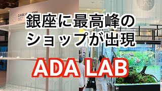 【ADA LAB】最高峰のパルダリウムショップが銀座に期間限定出現【パルダリウム】