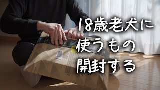 【18歳と15歳老犬カニンヘンダックスVlog】老犬の必需品開封動画　これがないとソラは辛いです